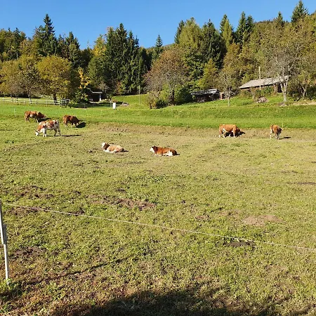 Veronica's Place In The Mountains Vila *