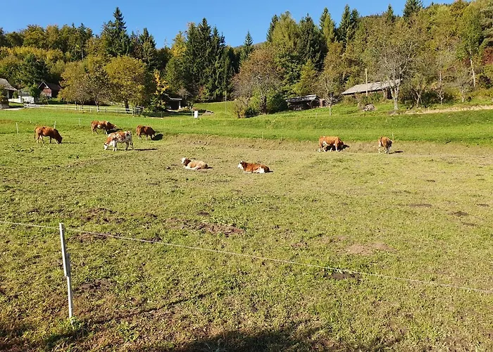 Veronica's Place In The Mountains Villa *