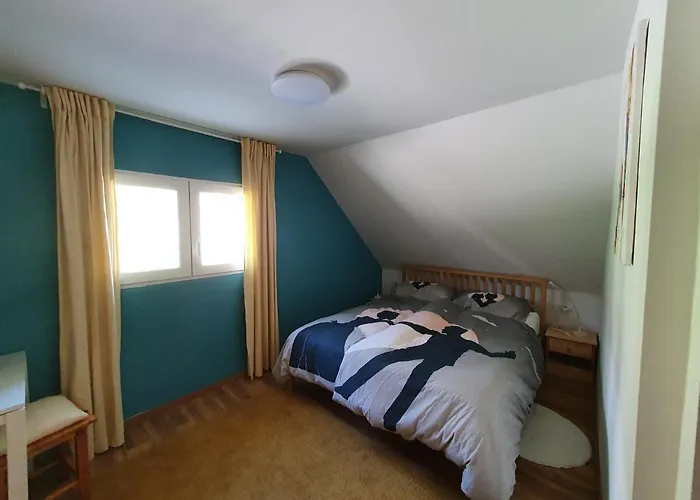 Veronica's Place In The Mountains فيلة